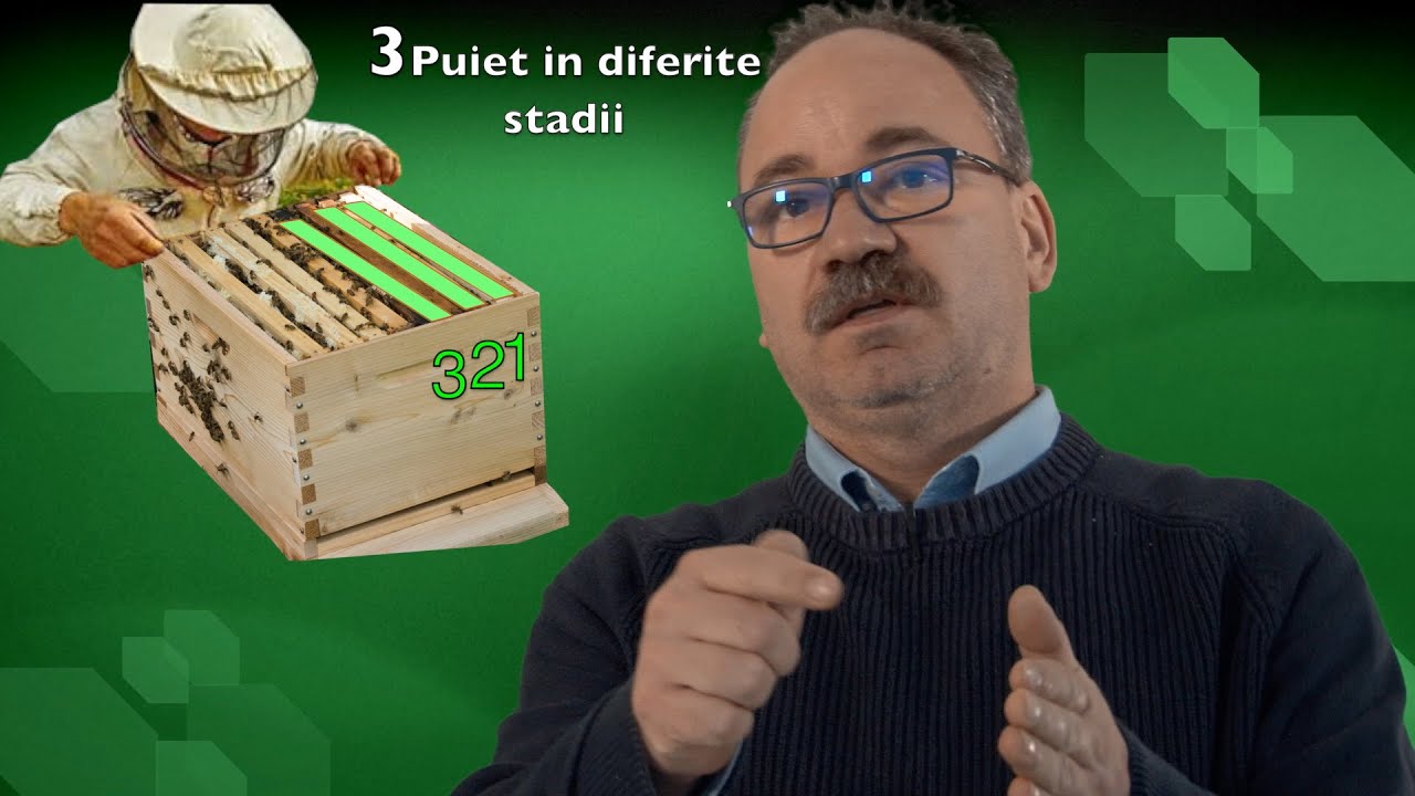Miniatură video YouTube: Povestea VarroaScan - Apicultura Stupina lui Ovidiu